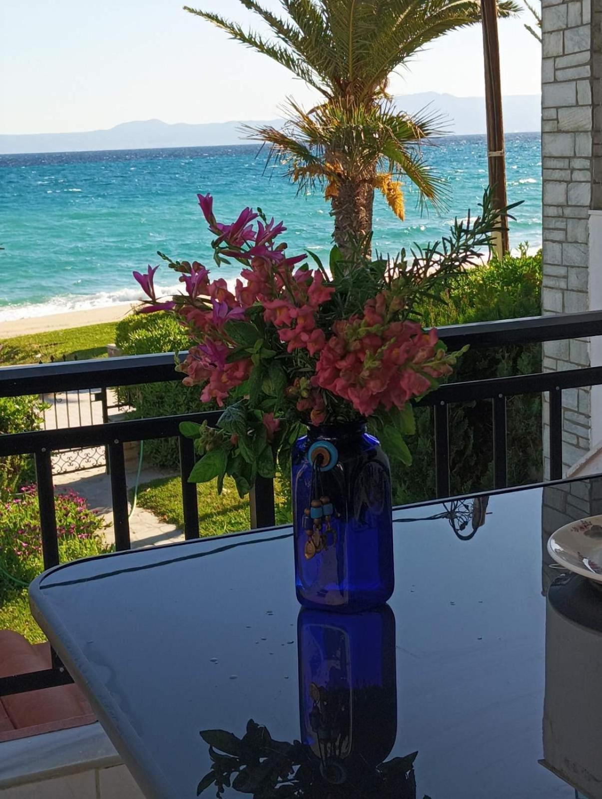 Cozy Maisonette In Pefkochori Chalkidiki Dış mekan fotoğraf