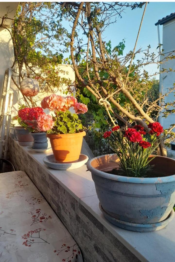 Cozy Maisonette In Pefkochori Chalkidiki Dış mekan fotoğraf